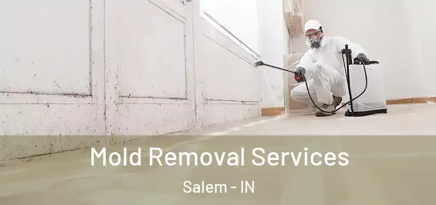  Mold Removal Services Salem - IN