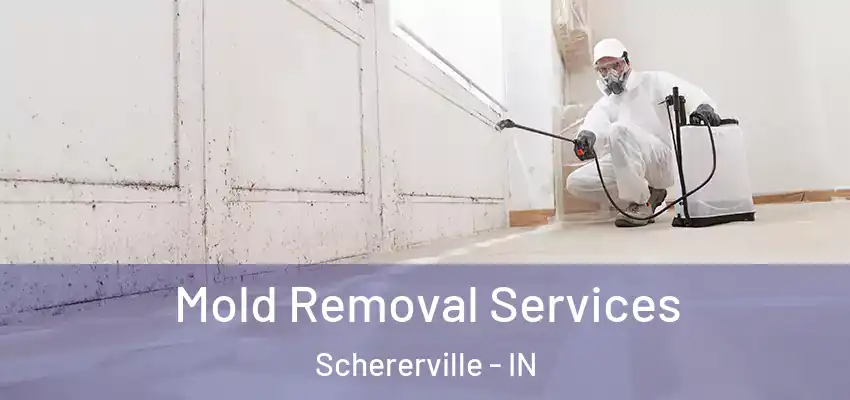  Mold Removal Services Schererville - IN