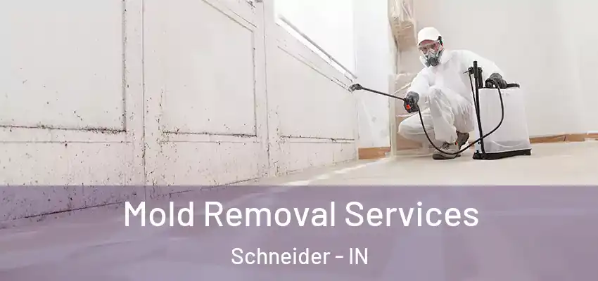  Mold Removal Services Schneider - IN