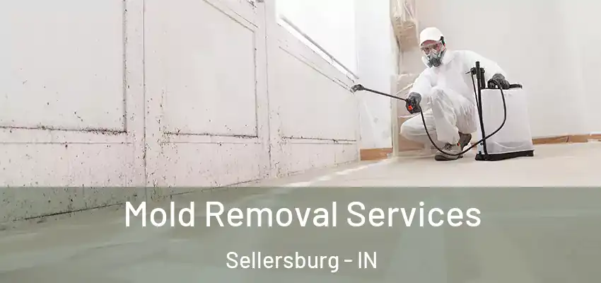  Mold Removal Services Sellersburg - IN