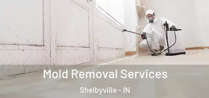  Mold Removal Services Shelbyville - IN