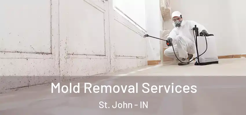  Mold Removal Services St. John - IN
