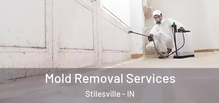  Mold Removal Services Stilesville - IN