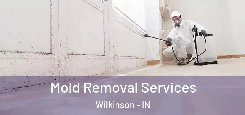  Mold Removal Services Wilkinson - IN