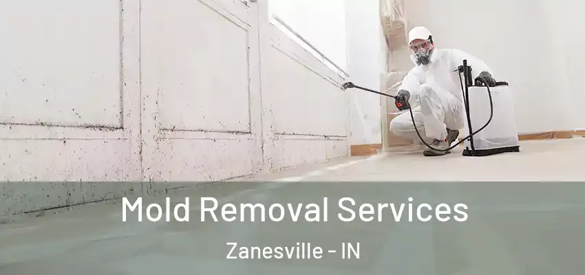  Mold Removal Services Zanesville - IN