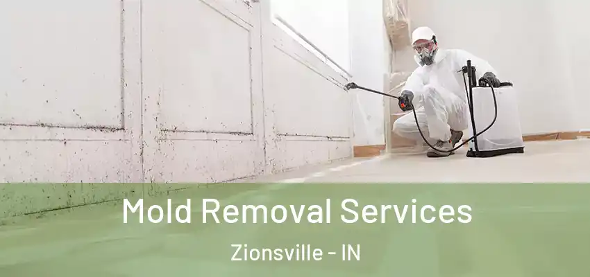  Mold Removal Services Zionsville - IN