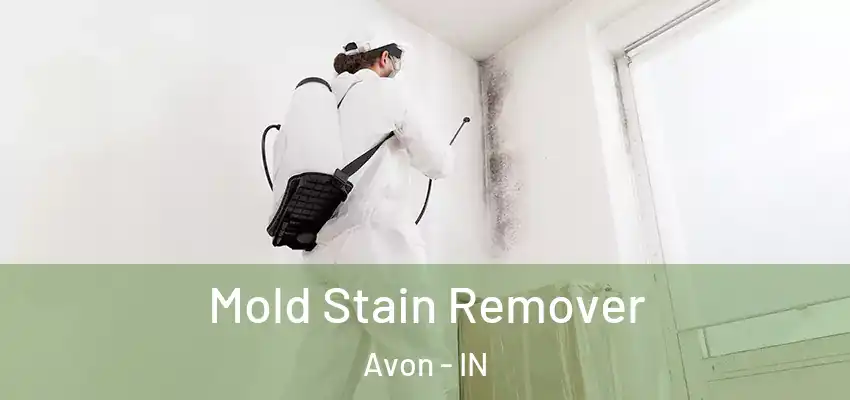  Mold Stain Remover Avon - IN