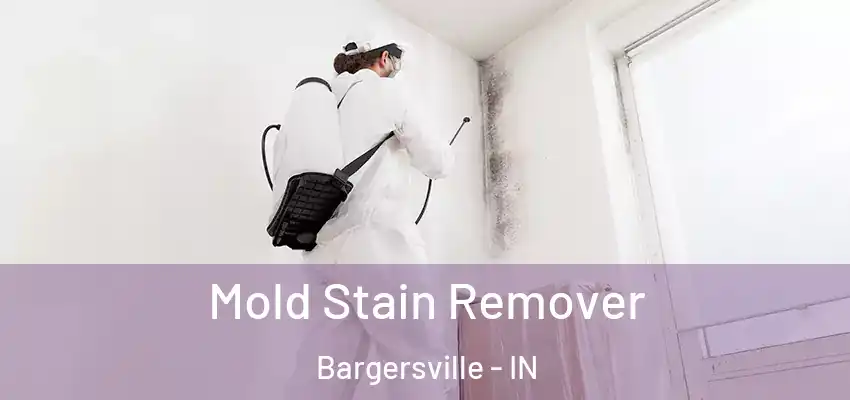  Mold Stain Remover Bargersville - IN