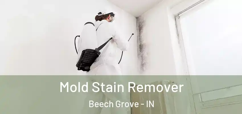  Mold Stain Remover Beech Grove - IN