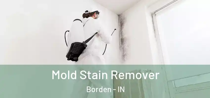 Mold Stain Remover Borden - IN