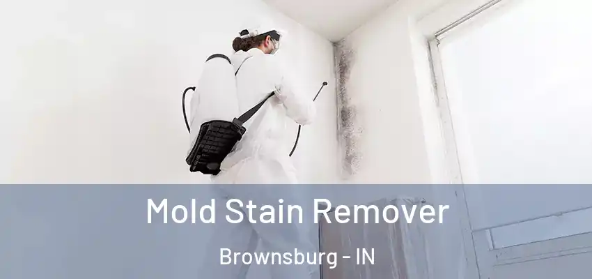  Mold Stain Remover Brownsburg - IN