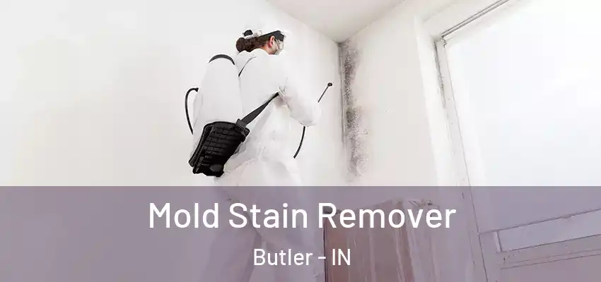  Mold Stain Remover Butler - IN