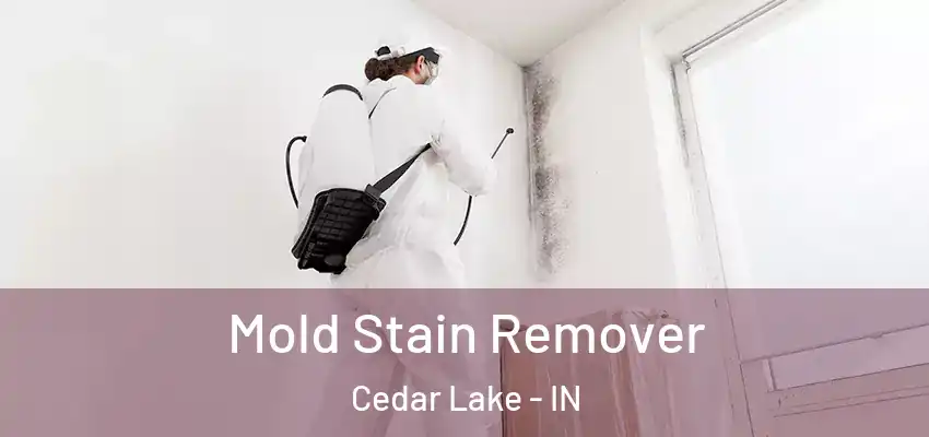 Mold Stain Remover Cedar Lake - IN