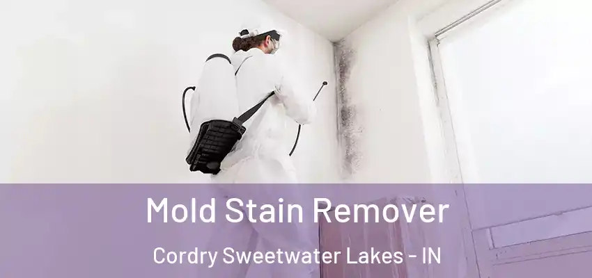 Mold Stain Remover Cordry Sweetwater Lakes - IN