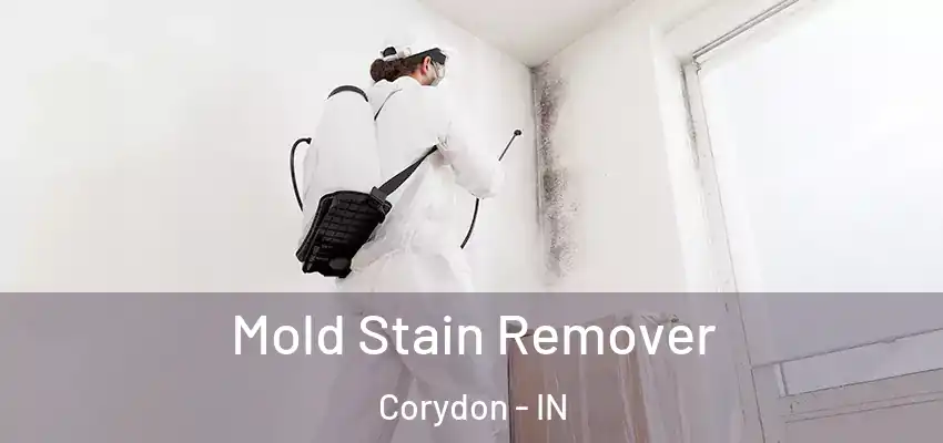  Mold Stain Remover Corydon - IN