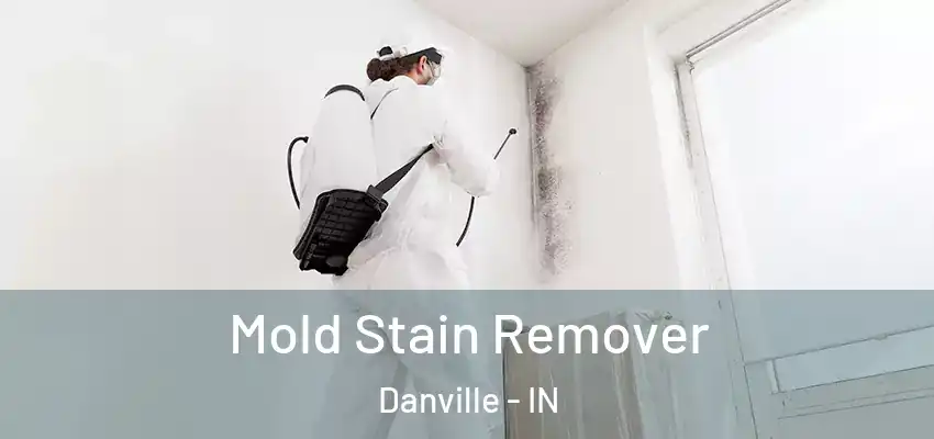 Mold Stain Remover Danville - IN