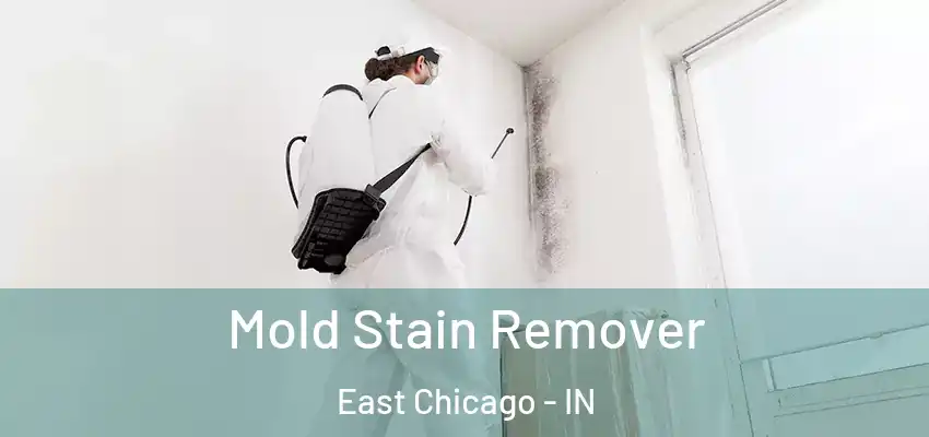  Mold Stain Remover East Chicago - IN