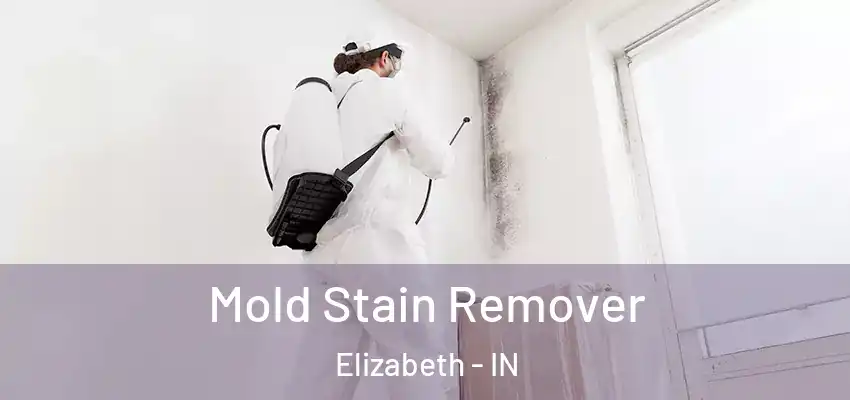  Mold Stain Remover Elizabeth - IN