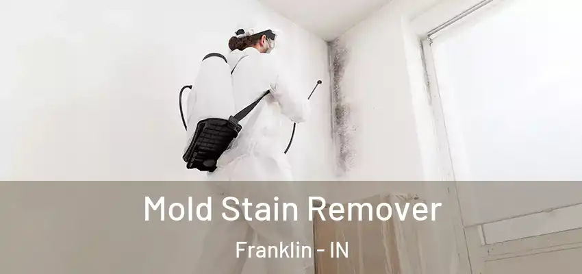  Mold Stain Remover Franklin - IN