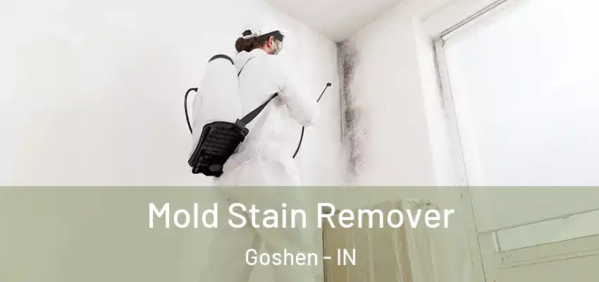 Mold Stain Remover Goshen - IN