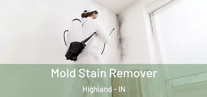  Mold Stain Remover Highland - IN