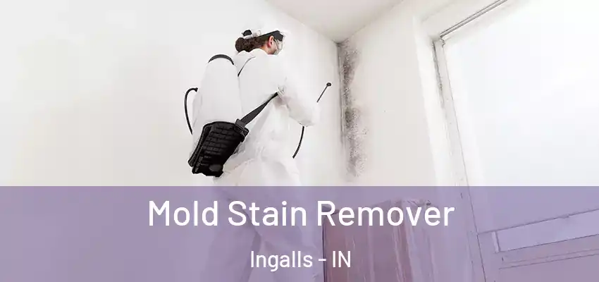  Mold Stain Remover Ingalls - IN