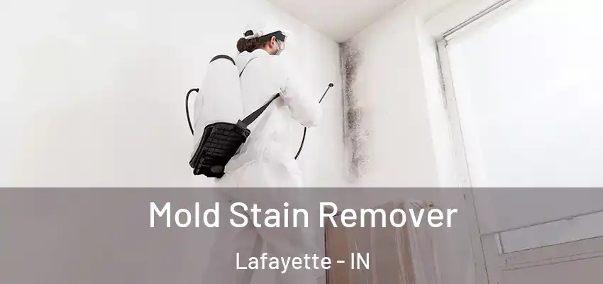 Mold Stain Remover Lafayette - IN