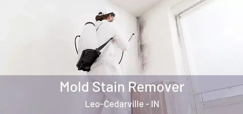 Mold Stain Remover Leo-Cedarville - IN