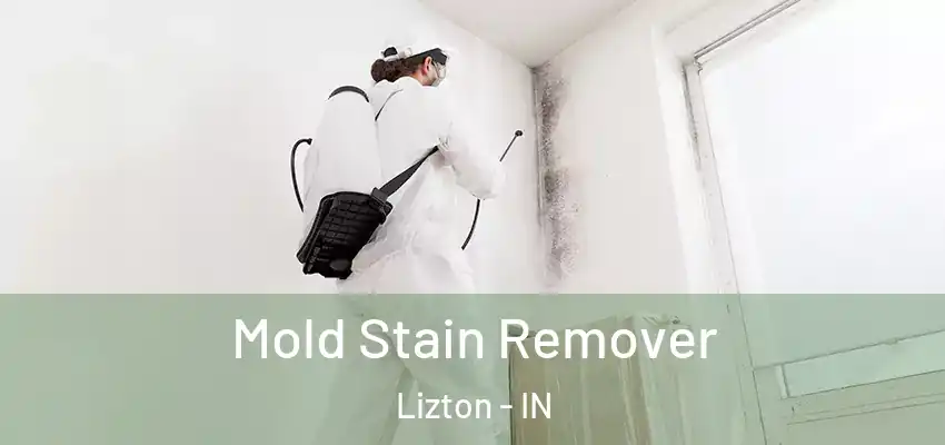  Mold Stain Remover Lizton - IN