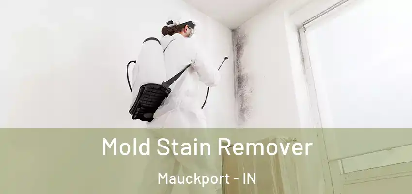  Mold Stain Remover Mauckport - IN