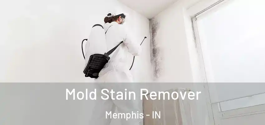  Mold Stain Remover Memphis - IN