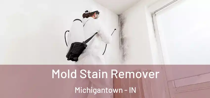 Mold Stain Remover Michigantown - IN