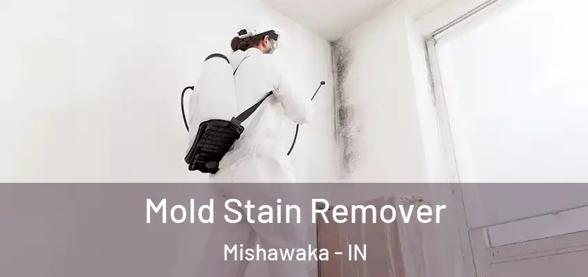  Mold Stain Remover Mishawaka - IN