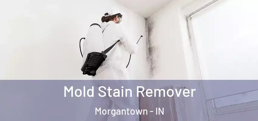  Mold Stain Remover Morgantown - IN