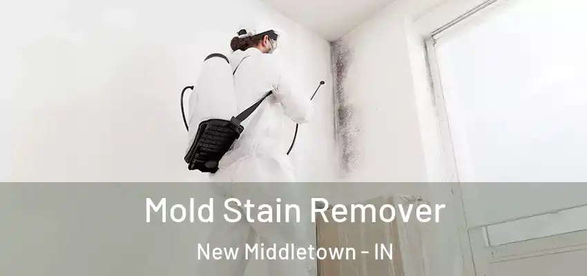  Mold Stain Remover New Middletown - IN