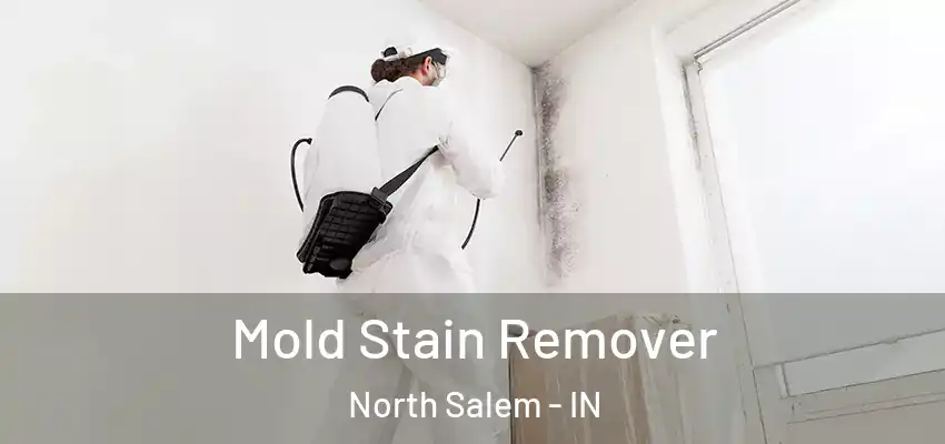 Mold Stain Remover North Salem - IN