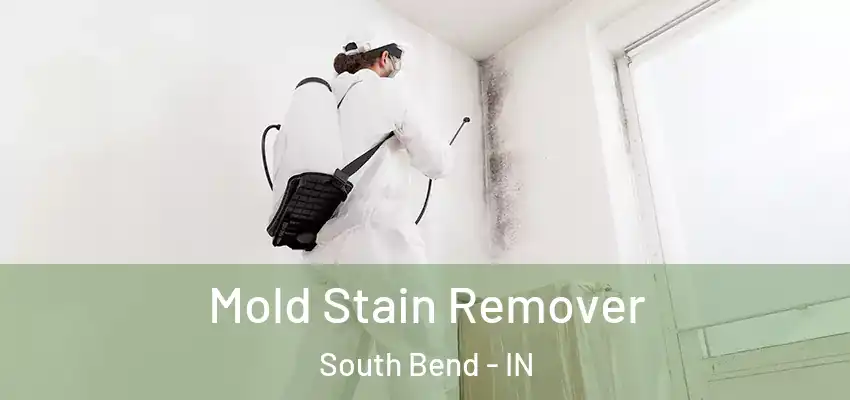  Mold Stain Remover South Bend - IN