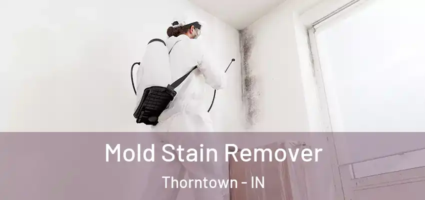  Mold Stain Remover Thorntown - IN