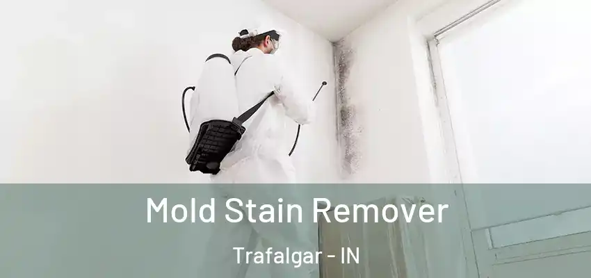  Mold Stain Remover Trafalgar - IN