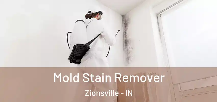  Mold Stain Remover Zionsville - IN