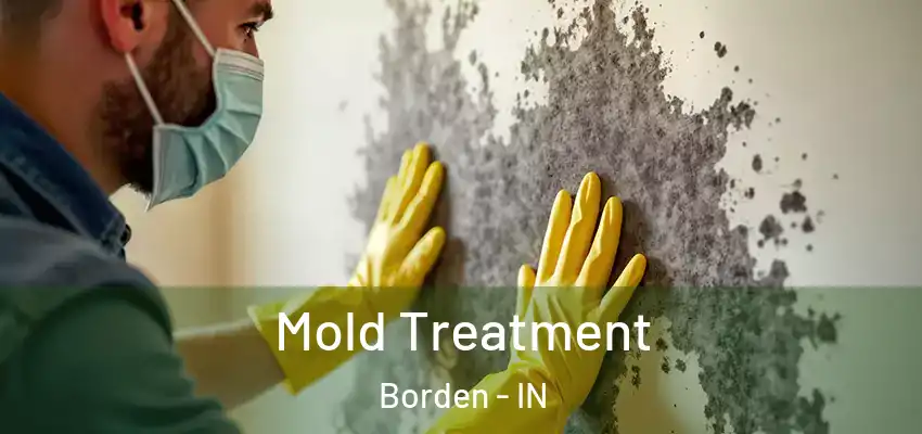  Mold Treatment Borden - IN