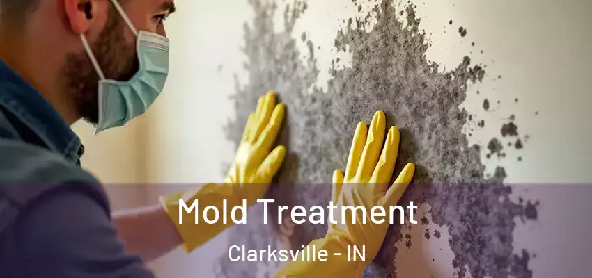  Mold Treatment Clarksville - IN