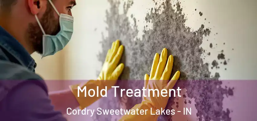 Mold Treatment Cordry Sweetwater Lakes - IN