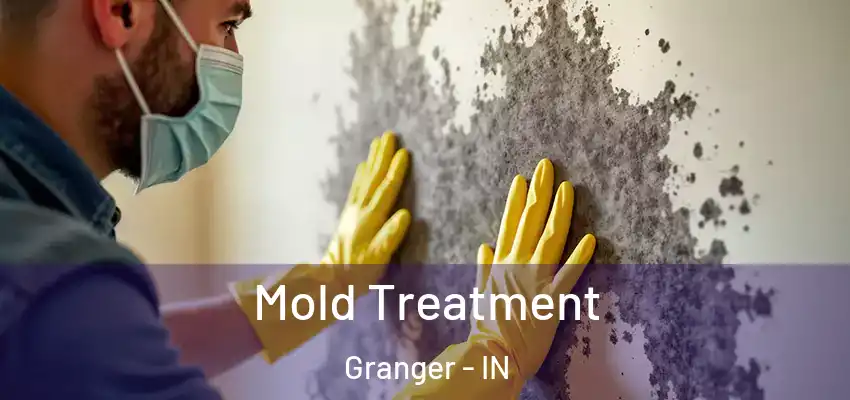  Mold Treatment Granger - IN