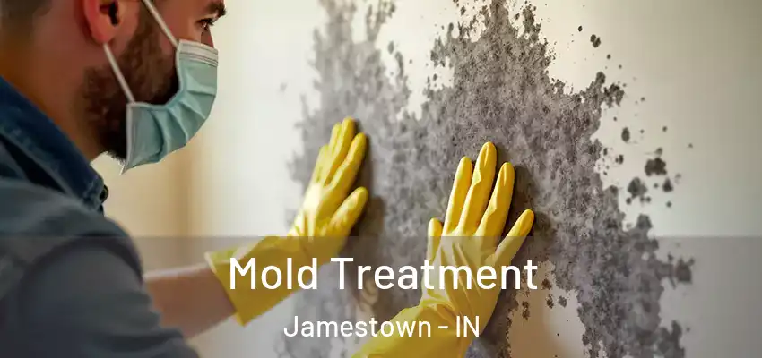 Mold Treatment Jamestown - IN