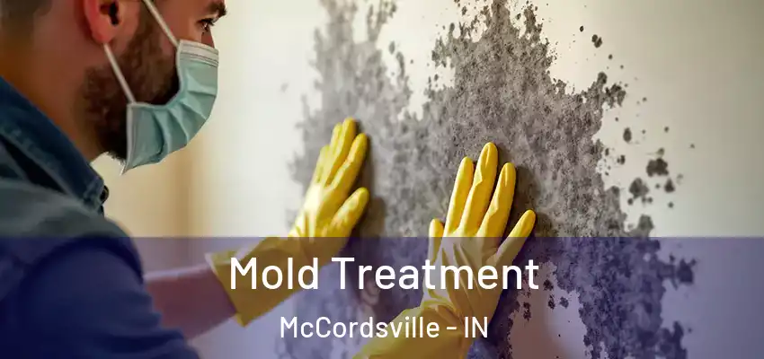  Mold Treatment McCordsville - IN