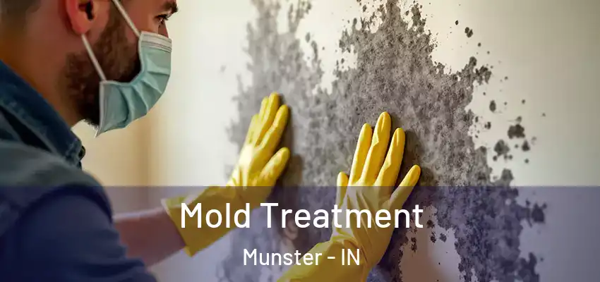  Mold Treatment Munster - IN