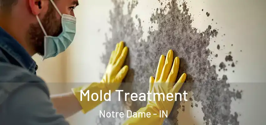  Mold Treatment Notre Dame - IN
