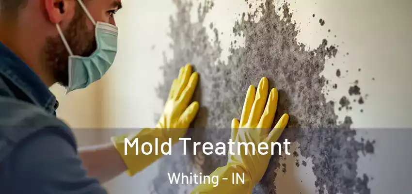  Mold Treatment Whiting - IN