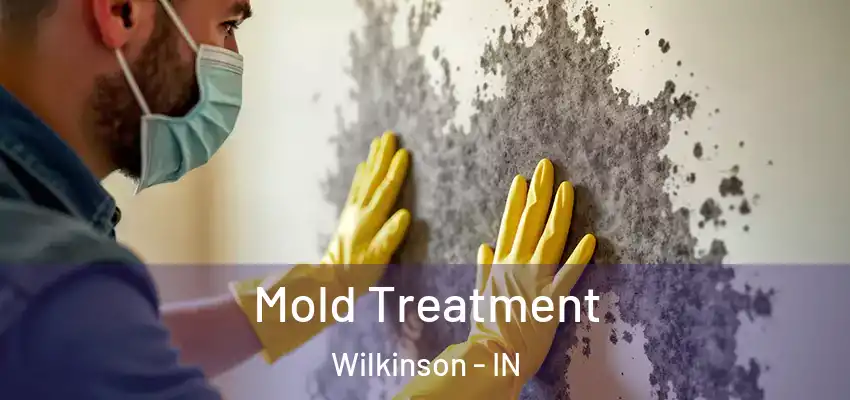  Mold Treatment Wilkinson - IN